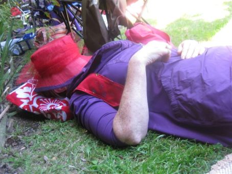 fitzroy-Gardens-Dec-14-8